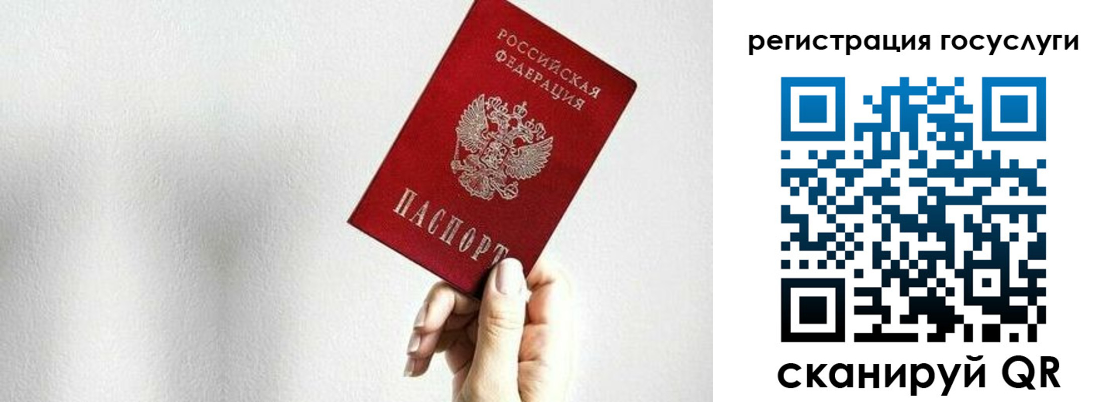 прописка гарантия в Давлеканово
